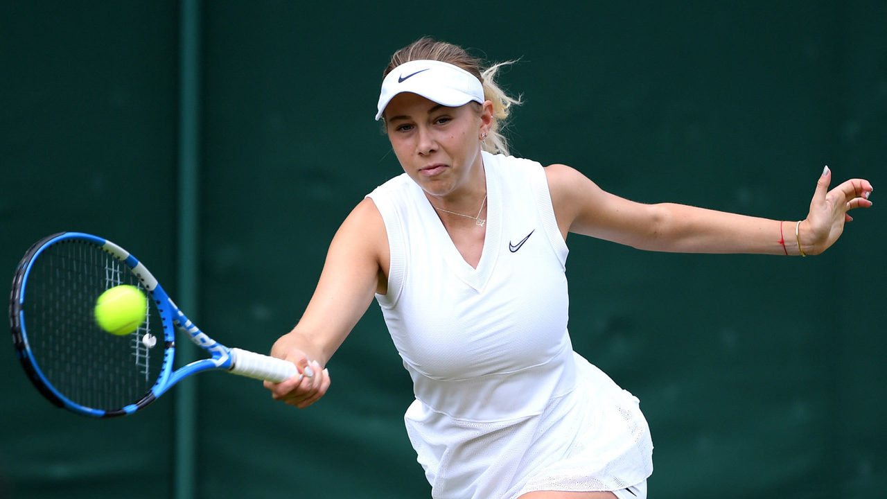 并非毫无根 并非毫无根