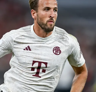 给球队带来 给球队带来